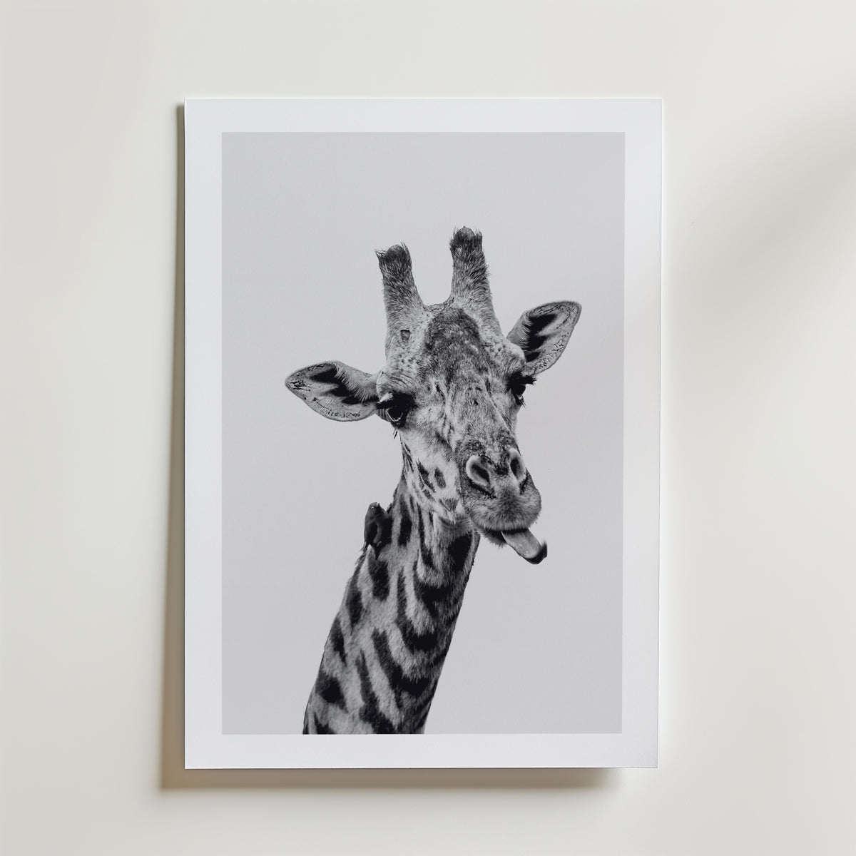 Cheeky Giraffe Poster – med passepartout