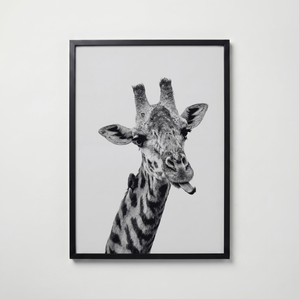 Cheeky Giraffe Poster – svart ram