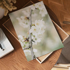 Blossom Serenity – affisch med snyggt motiv, köp enkelt hos Bozetto i flera storlekar
