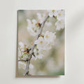 Blossom Serenity – stilfullt konsttryck från Bozetto, tryckt på matt finpapper i hög tryckkvalitet