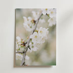 Blossom Serenity – stilfullt konsttryck från Bozetto, tryckt på matt finpapper i hög tryckkvalitet