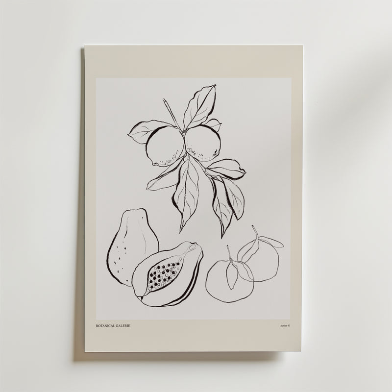 The Shape Of Plenty Poster by Bozetto visar en minimalistisk svartvit botanisk illustration av citrusfrukter och papayor på en vit bakgrund med en ljusbeige kant och erbjuder en modern fruktstil för alla konstnärliga postersamlingar.