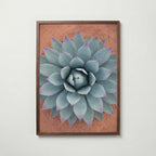 Sage Rosette Poster - agavemotiv i valnotsram, fri frakt over 499 kr